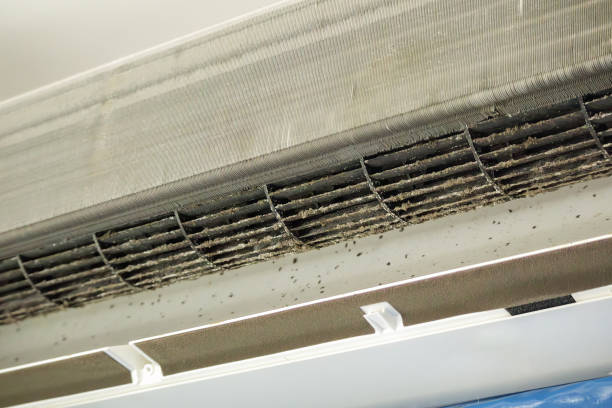 Best Local Air Duct Cleaning Services  in , ND